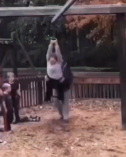 进口沙雕可以有多鬼畜......