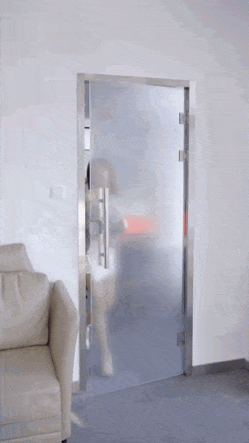 是不是过分优秀了