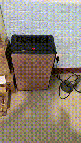 追风少年与他的三个小娇妻