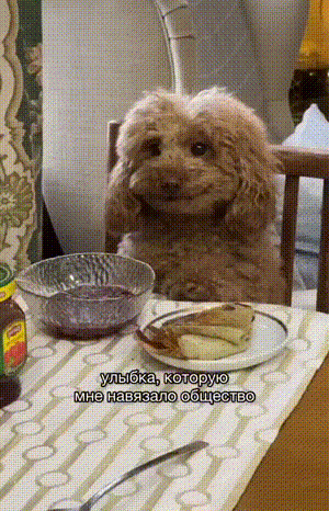 我是小青啊，大家还记得我吗